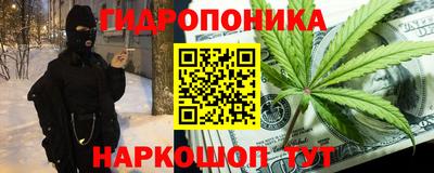 шишки Пугачёв