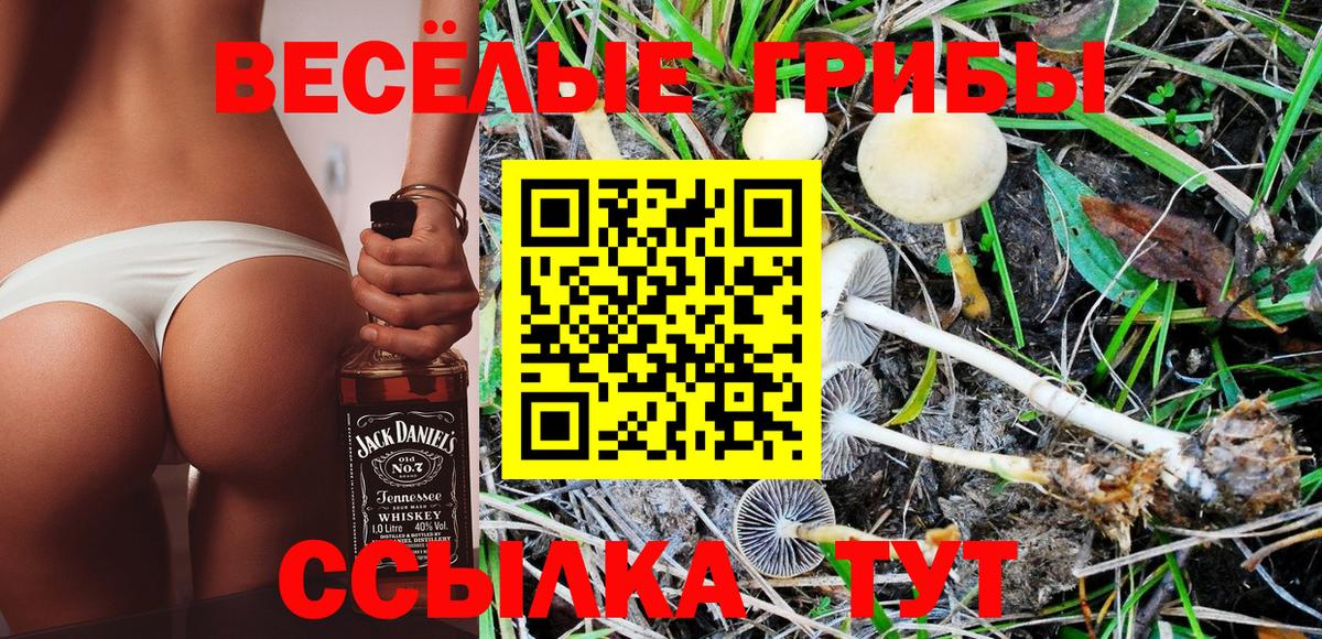Псилоцибиновые грибы MAGIC MUSHROOMS Самара